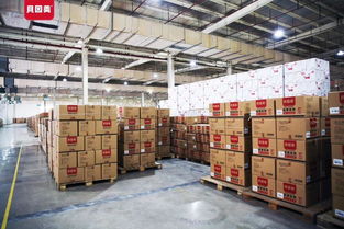 贝因美Hello Kitty纸尿裤代理指南与产品解析